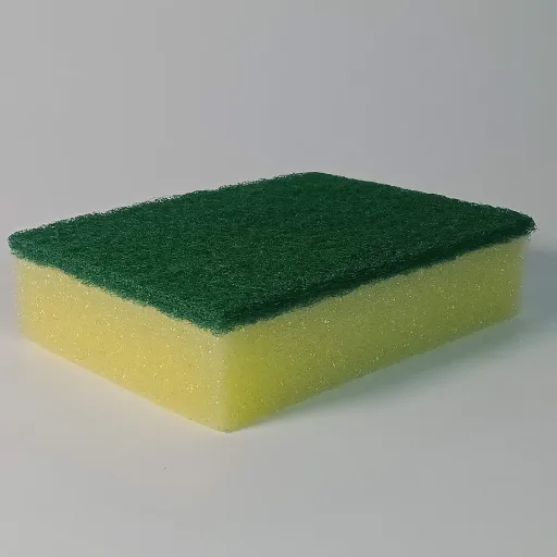 Scrub Sponge Pad Set (10 pcs)