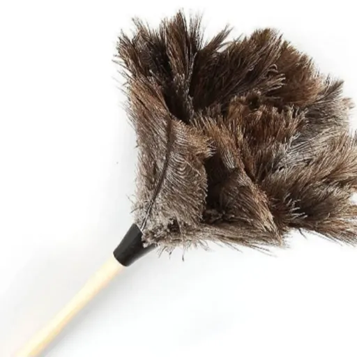 Ostrich Feather Duster